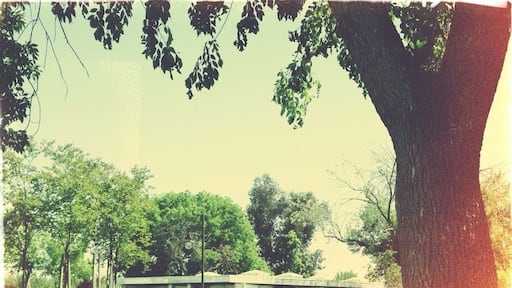 Buttonwillow rest stop