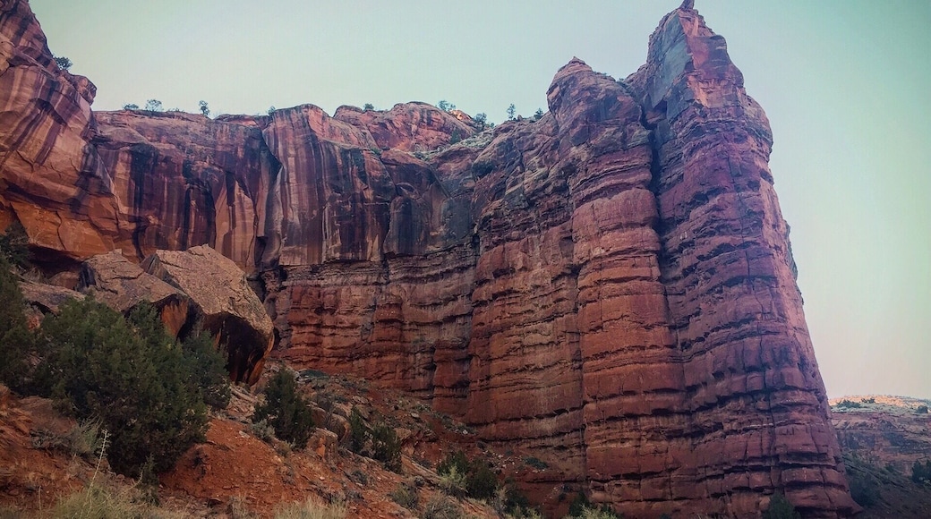 Located at the northeastern edge of the Colorado Plateu, the Escalante Canyon is one of the most pristine climbing areas in all of canyonlands.
The canyon was formed over 600 million years as Escalante Creek carved the 1,300 foot gorge. The Escalante Canyon has a long history of human occupation. The Ute Indians for years had made the North Fork of the Escalante River their winter home. Early settlers, attracted by the year-long water supply and sheltering cliffs, son pushed the Indians off the land.
Many cattle outfits began using the canyon as their winter quarters. In 1886, John Musser took up residence in one of the first homesteads in the canyon where he operated the Musser Cattle Company. Over the years the company has acquired ranch after ranch so that now most of the grazing paddocks along the canyon's entire length are consolidated under Musser Cattle.
The infamous Colorado Sheep War centered around cattlemen protecting their grazing land from flocks of hungry sheep. In the early 1900s, an unwritten code existed which relegated sheep to one side of the Gunnison River. When a swinging bridge was built over the river and sheep travelled across, the cattlemen retaliated by shooting hundreds of sheep. Two residents of the canyon died in the shootout. #historicalplace #rockclimbing #outdoorfun #outdoorlife #adventurelife #exploremore #hikinglife #wildlife