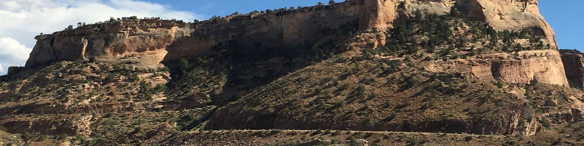 Mesas as far as the eye can see.