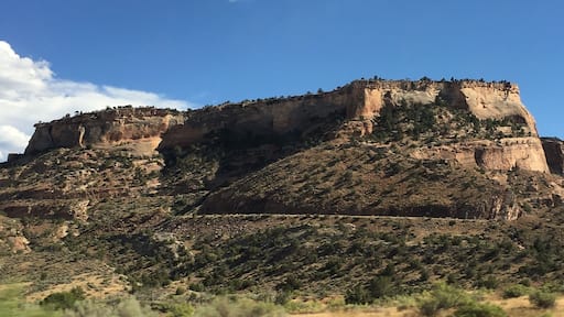 Mesas as far as the eye can see.