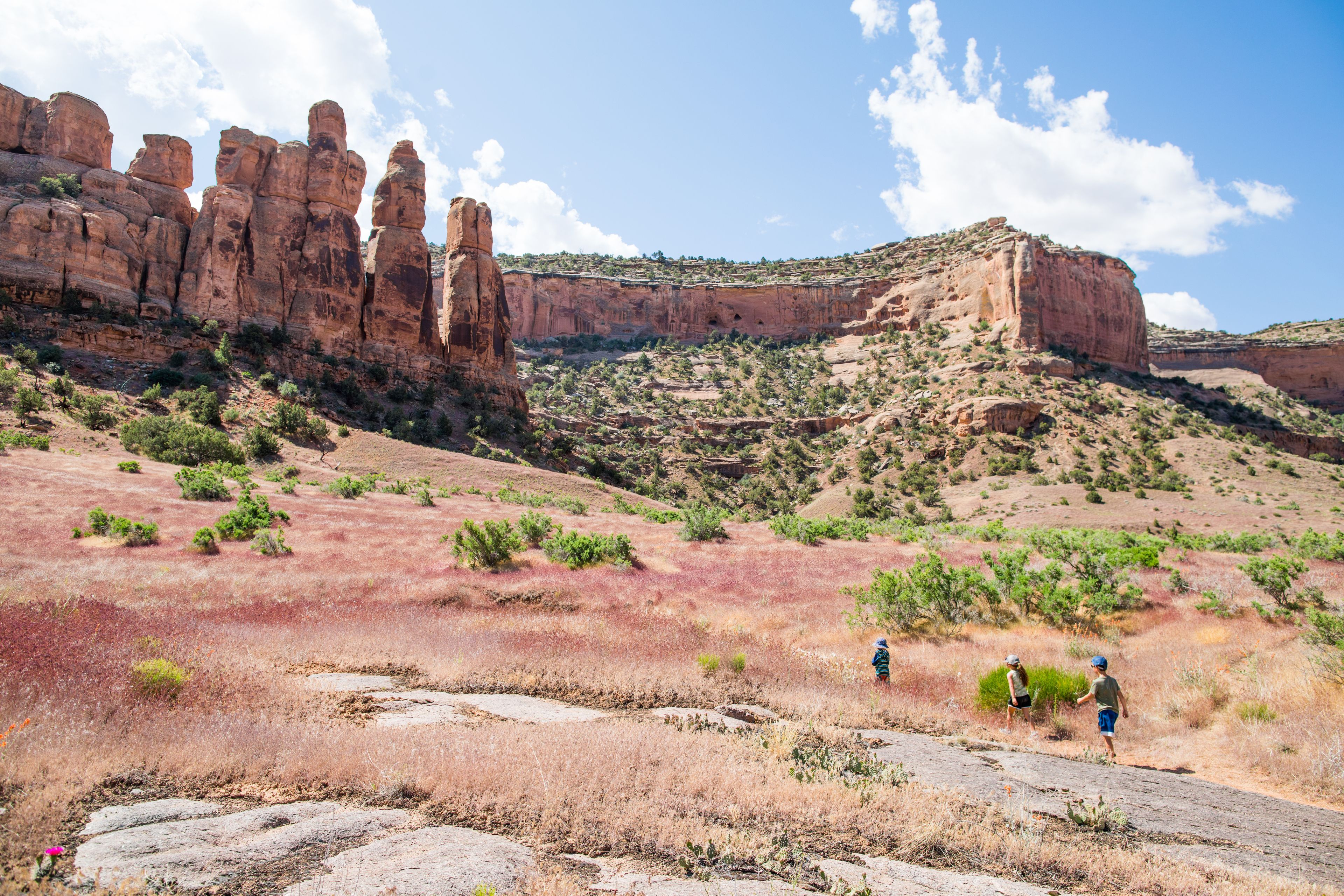 Fruita