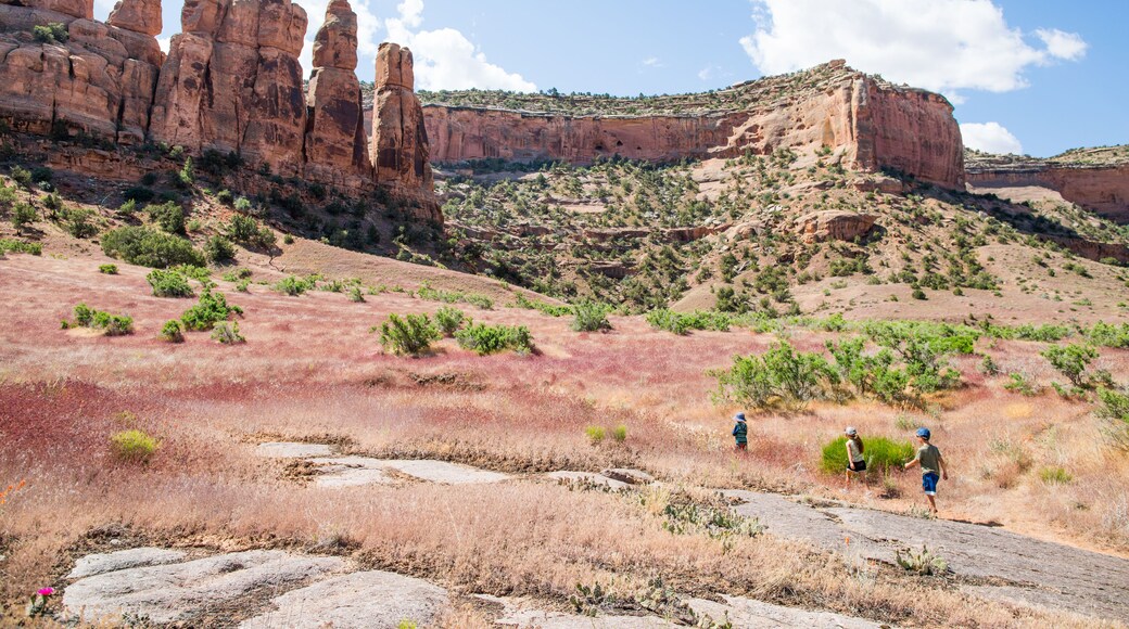 Fruita