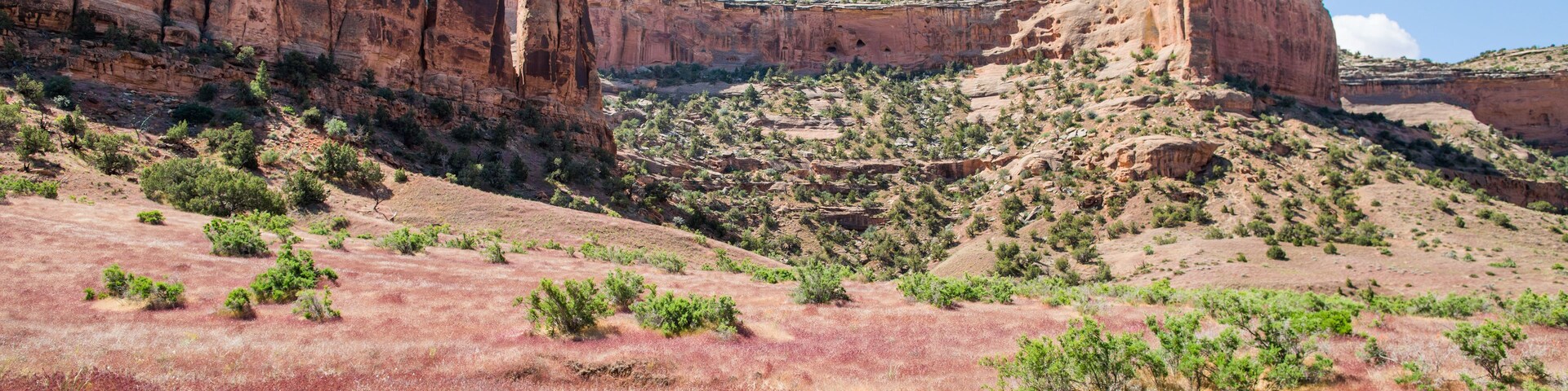 Paisaje desértico con formaciones rocosas rojas y vegetación escasa.