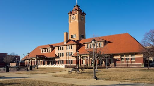 ダウナーズグローヴ