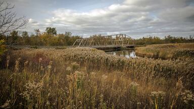 Illinois Countryside Landscape