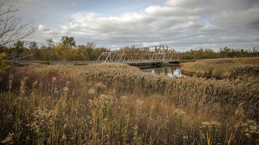 Illinois Countryside Landscape
