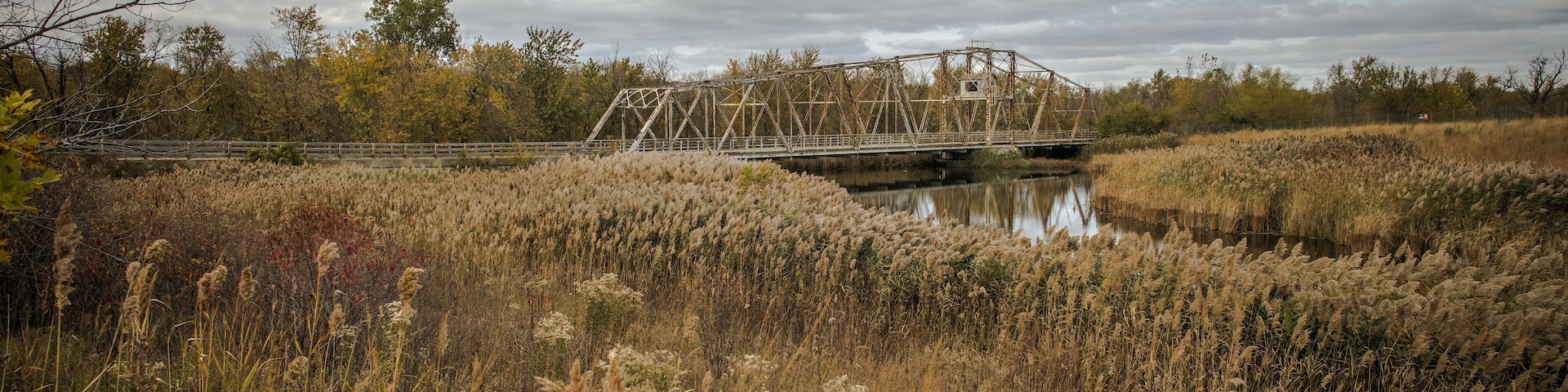 Illinois Countryside Landscape