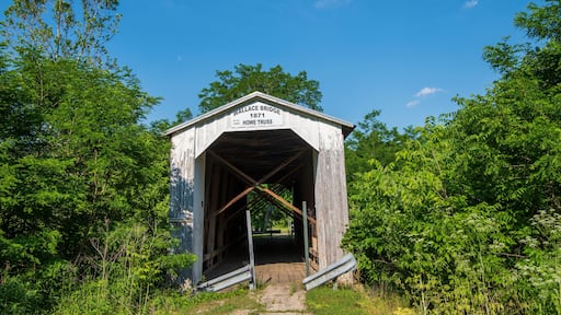Wallace Covered Bridge, Fountain County, Indiana