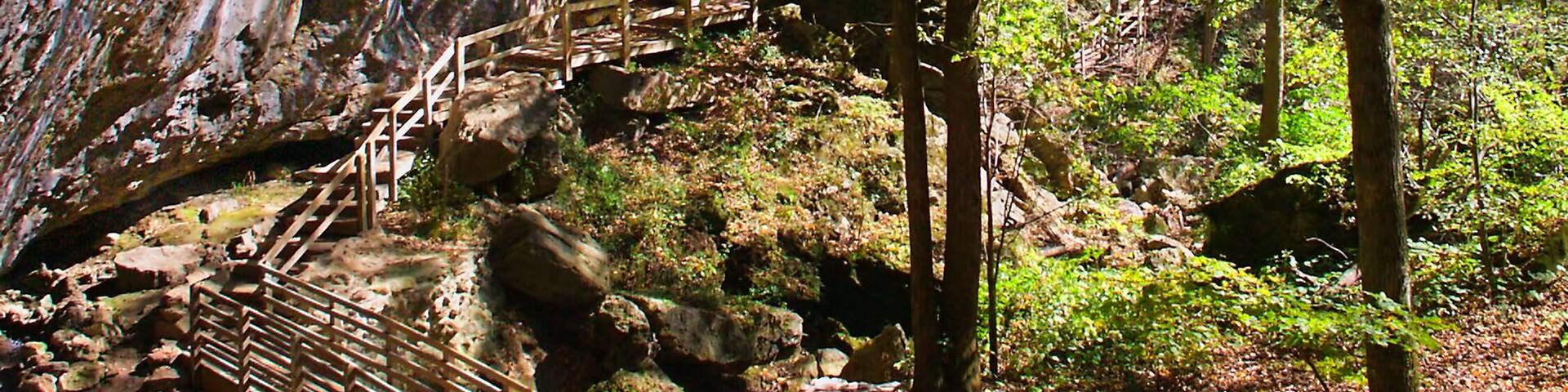 Sunlight shines on cliffs of Maquoketa Caves State Park in Iowa
