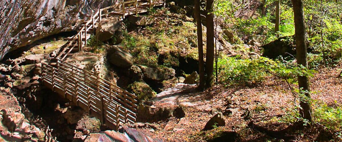 A forest with a rocky cliff, a wooden staircase, and a wooden bridge.