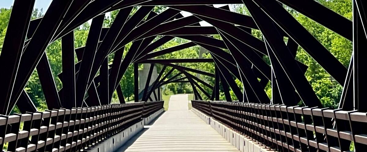 A steel bridge with a walkway and railings, surrounded by greenery.