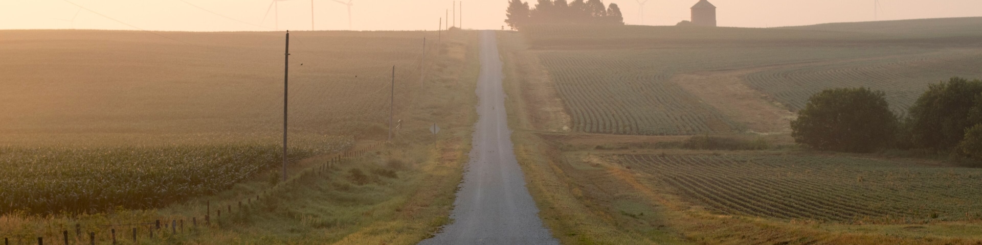 A rural road flanked by wind turbines and fields.