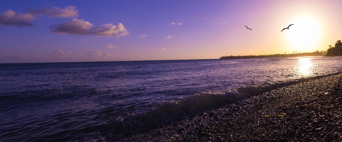 A beach at sunset with waves, a clear sky, and birds flying.
