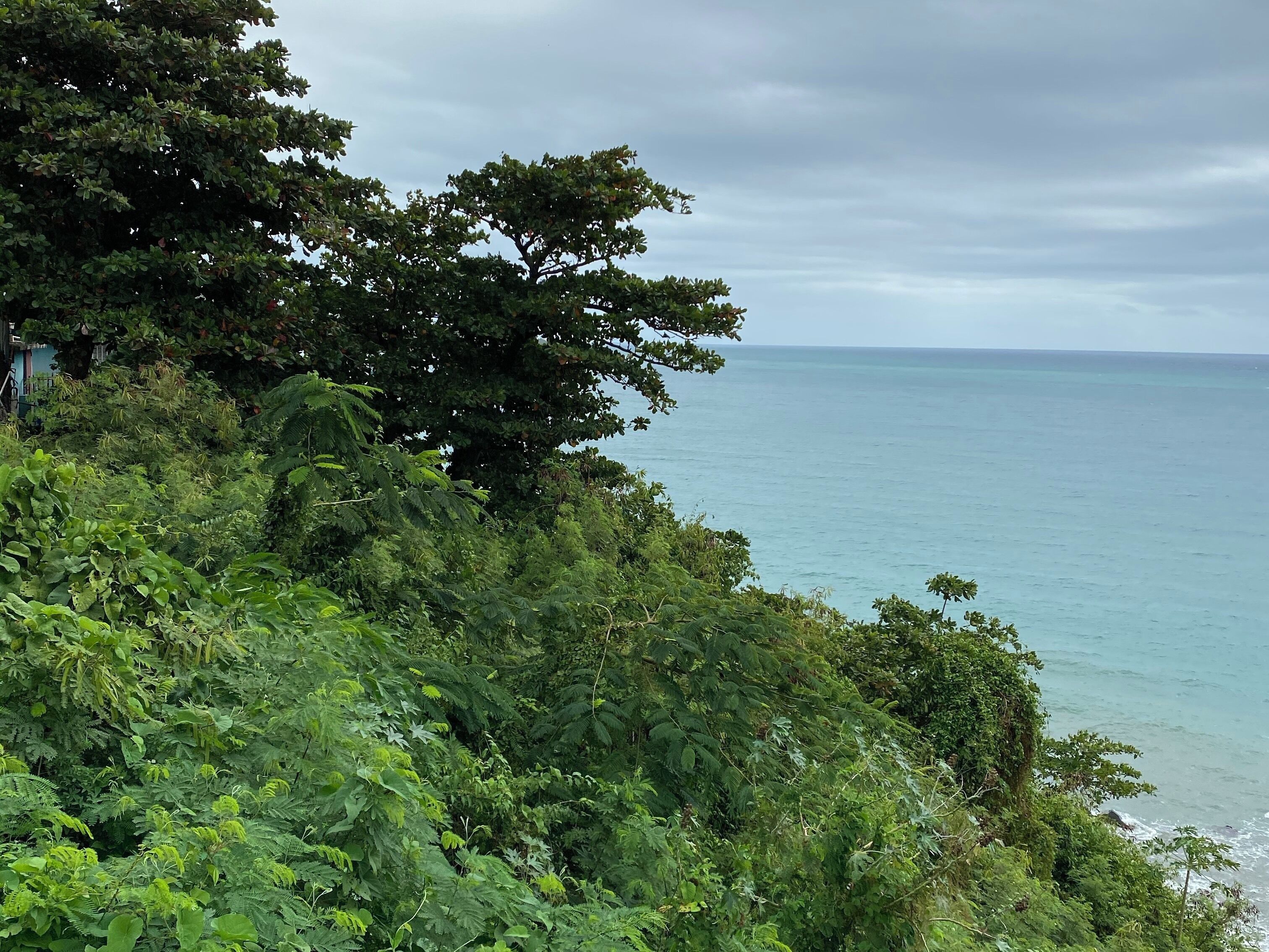 It actually does have a California vibe.