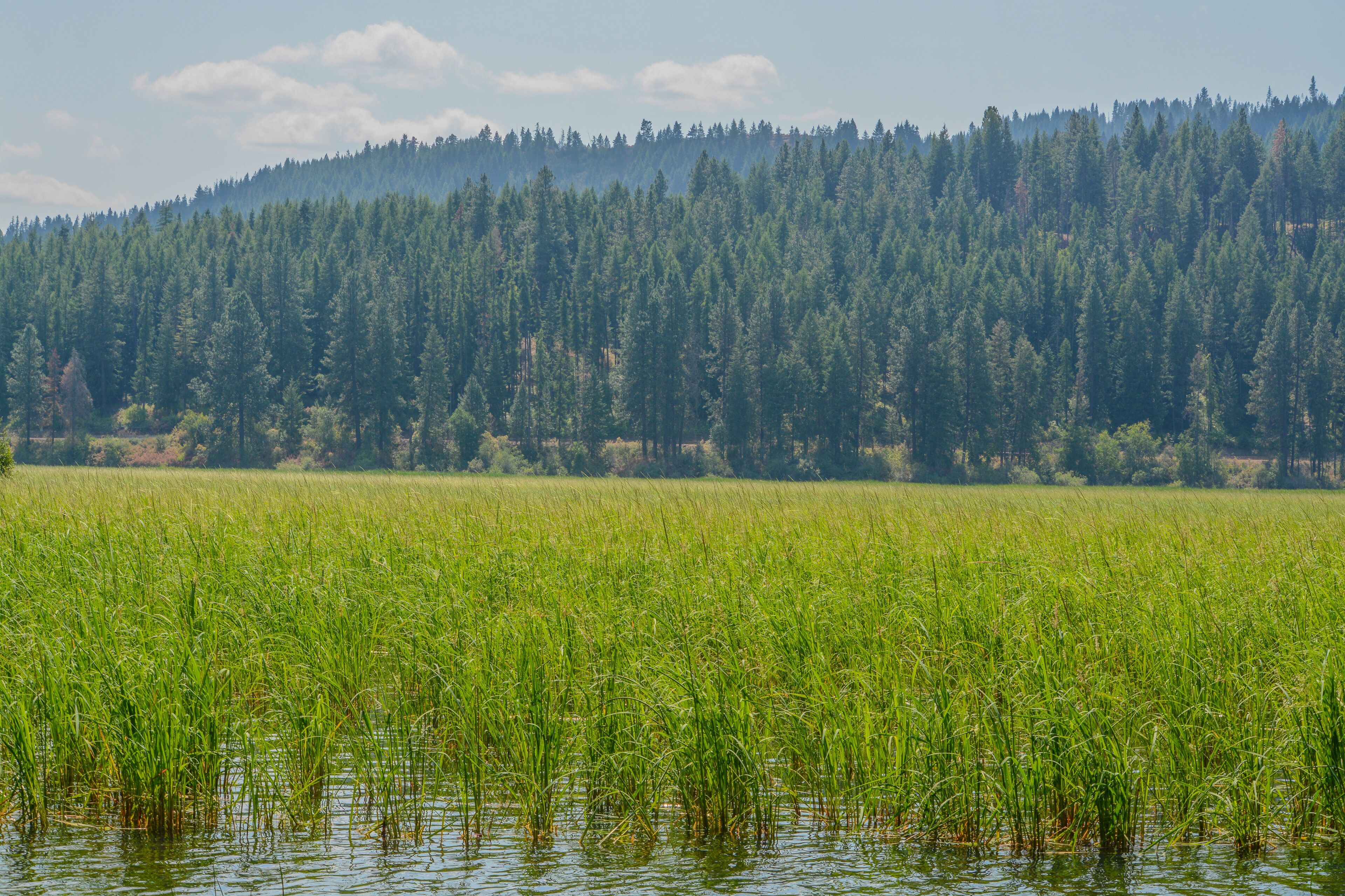 Beautiful Round Lake near Plummer in Heyburn State Park, Benewah County, Idaho