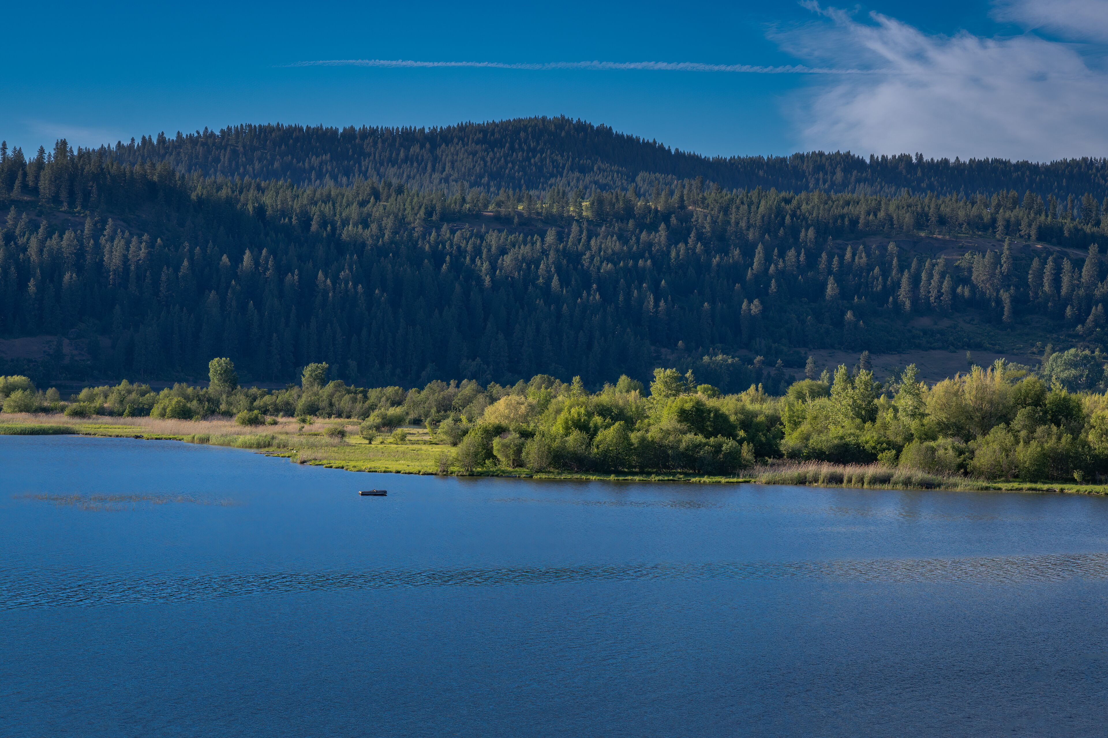 2021-06-14  LAKE COEUR D'ALENE AND THE TREE COVERED SHORELINE NEAR HEYBURN STATE PARK IN IDAHO