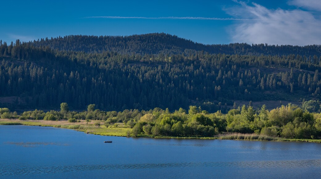 2021-06-14 LAKE COEUR D'ALENE AND THE TREE COVERED SHORELINE NEAR HEYBURN STATE PARK IN IDAHO