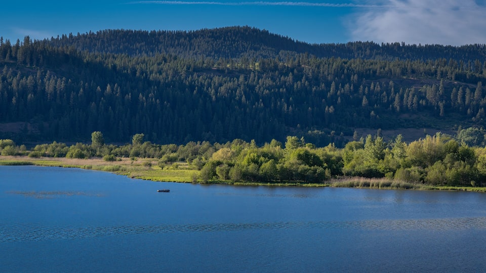 A calm lake with a small boat, surrounded by dense forest and a hill in the background.