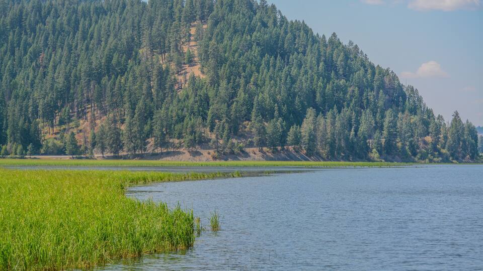 A calm lake with green vegetation in the foreground and a forested hill in the background.