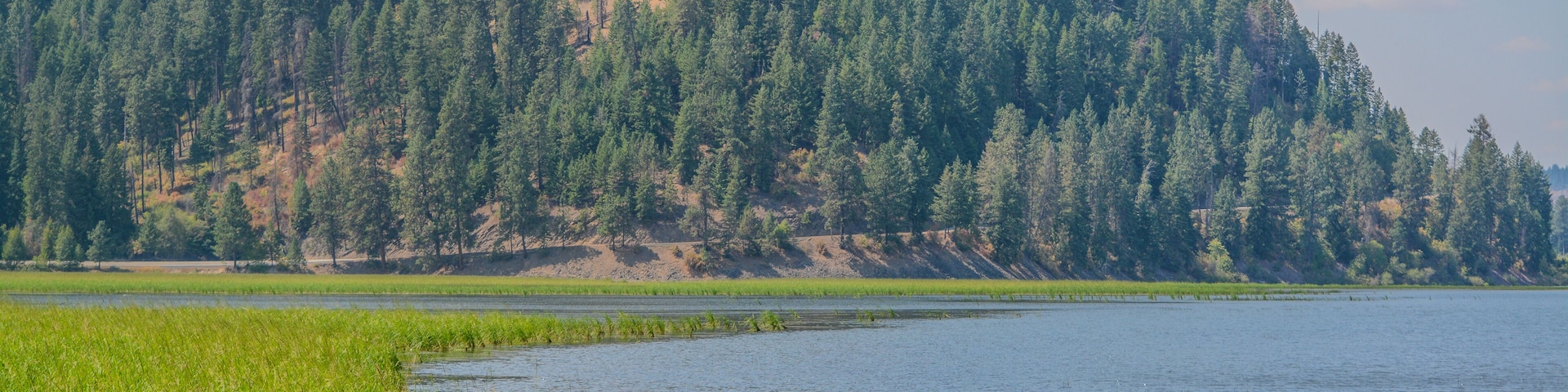 A calm lake with green vegetation in the foreground and a forested hill in the background.