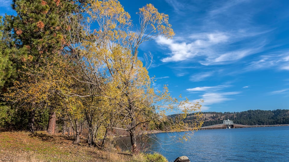 A lake with autumn trees, a bridge, and a distant lighthouse.
