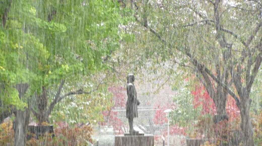My alma mater! Visiting the college during Homecoming a few years ago (in October) and we had an early snowstorm! Jacob Albright didn't seem to care about the weather though.