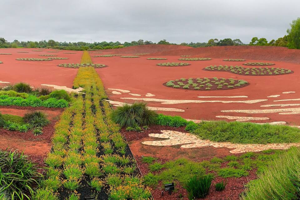 A landscaped garden with red soil, green plants, and circular patches of vegetation.