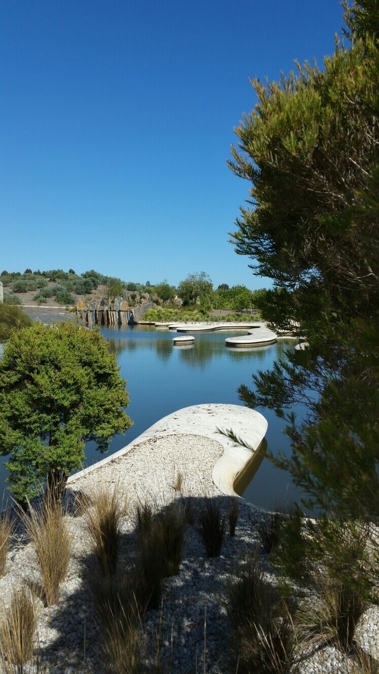 Bring a picnic or not but this is the best native garden anywhere in the world, it is breathe taking , great access for all .Free entry,
you can get public transport to Cranbourne.
