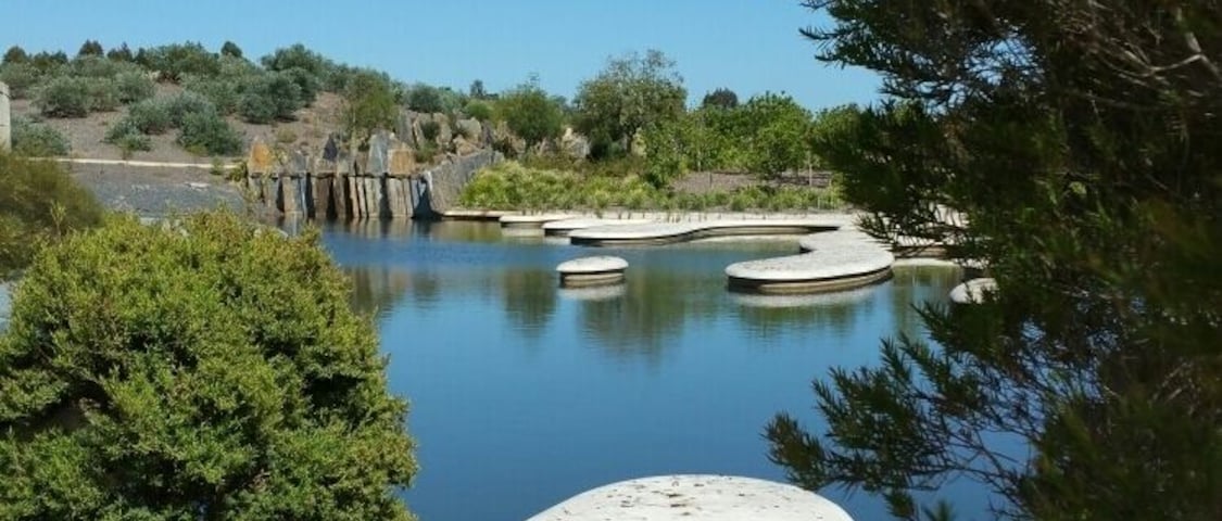 Bring a picnic or not but this is the best native garden anywhere in the world, it is breathe taking , great access for all .Free entry,
you can get public transport to Cranbourne.