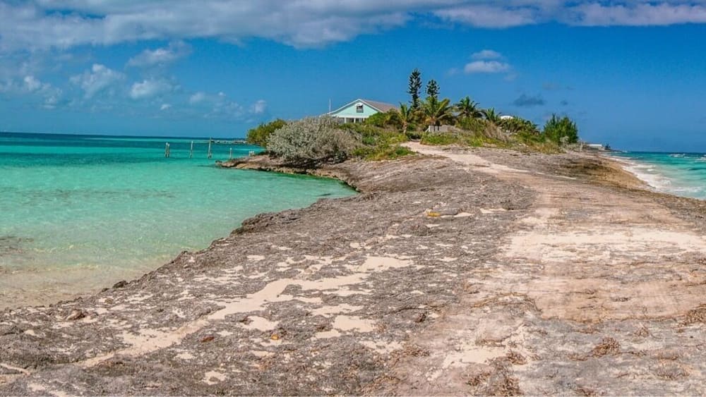 The Low Place is a narrow strip of land in Man O War that has the Sea of Abaco on one side and the Atlantic on the other. At high tide the two meet with thunderous ocean spray churning up! At low tide you can walk out for miles on the Abaco side finding huge red starfish and sand dollars!
