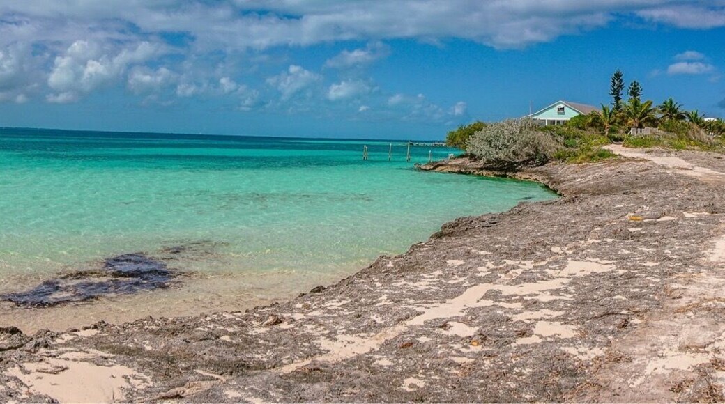 The Low Place is a narrow strip of land in Man O War that has the Sea of Abaco on one side and the Atlantic on the other. At high tide the two meet with thunderous ocean spray churning up! At low tide you can walk out for miles on the Abaco side finding huge red starfish and sand dollars!