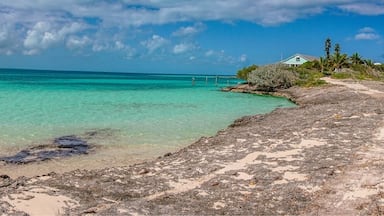 The Low Place is a narrow strip of land in Man O War that has the Sea of Abaco on one side and the Atlantic on the other. At high tide the two meet with thunderous ocean spray churning up! At low tide you can walk out for miles on the Abaco side finding huge red starfish and sand dollars!