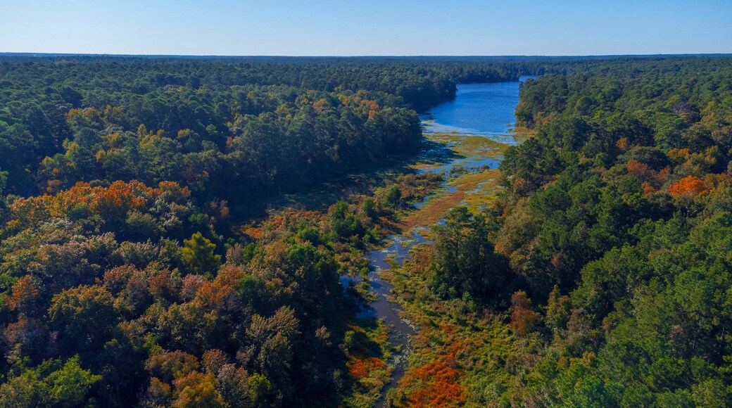 Huntsville State Park photos with HD quality - Texas State Parks, USA