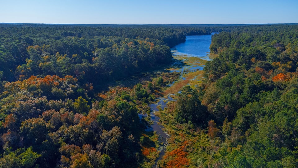 A river winding through a dense forest with autumn foliage.