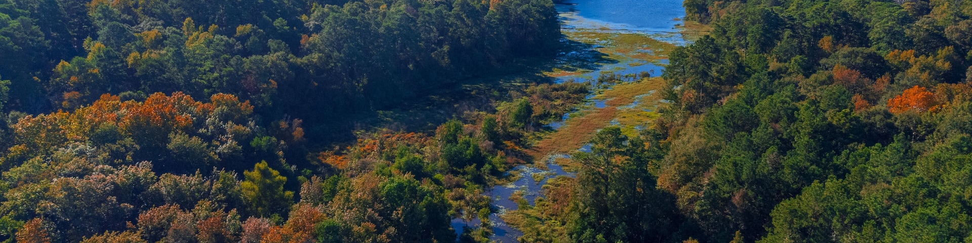 Huntsville State Park photos with HD quality - Texas State Parks, USA