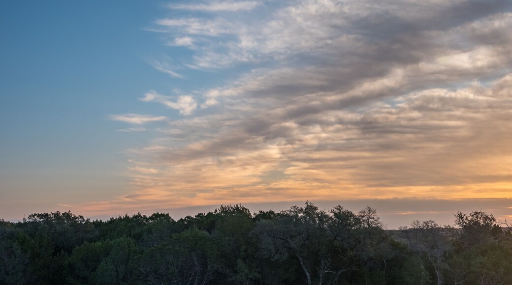 Warm Sunrise Sun Rasing Over Cedar Tree Forest in Texas