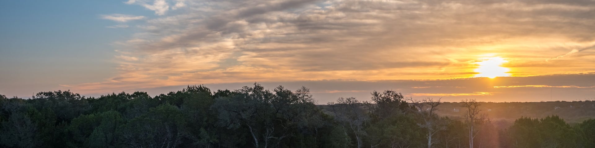Warm Sunrise Sun Rasing Over Cedar Tree Forest in Texas