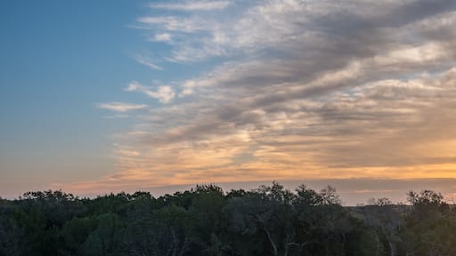 Warm Sunrise Sun Rasing Over Cedar Tree Forest in Texas