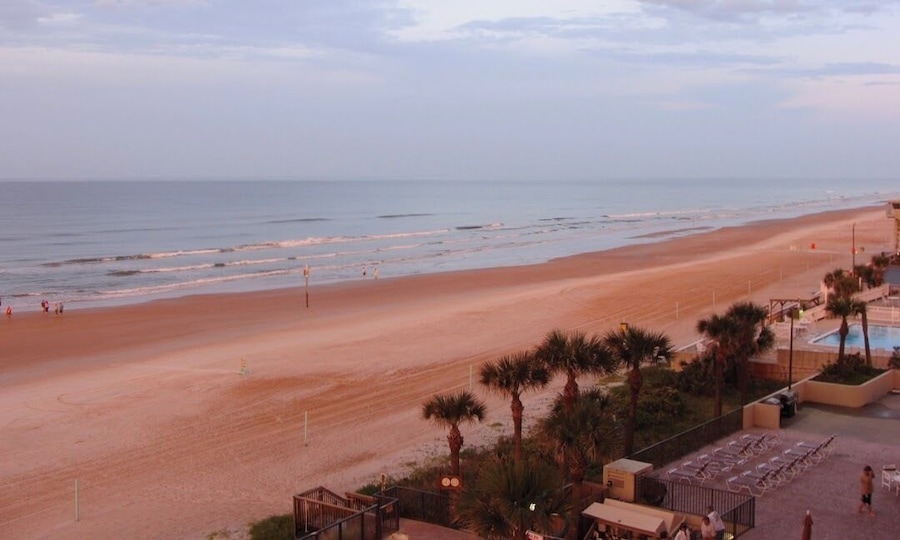 With its hard, white beach, Ormond became popular for the wealthy seeking relief from northern winters during the Floridian boom in tourism following the Civil War. 
#Golden
#GreatOutdoors Photo #Nature