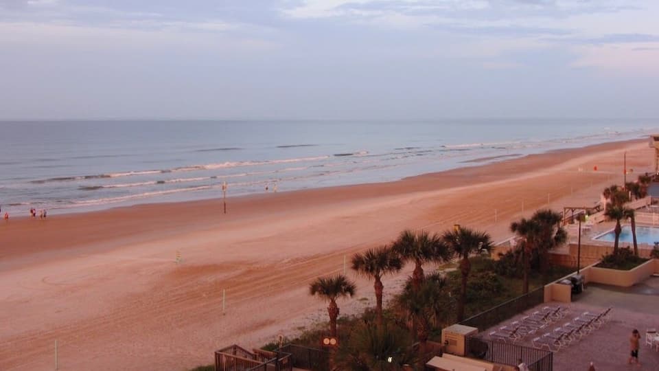 With its hard, white beach, Ormond became popular for the wealthy seeking relief from northern winters during the Floridian boom in tourism following the Civil War.
#Golden
#GreatOutdoors Photo #Nature