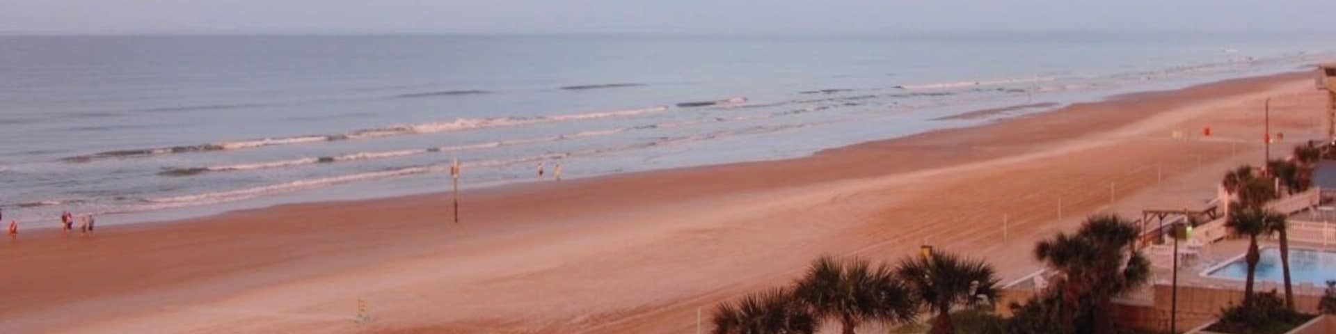 With its hard, white beach, Ormond became popular for the wealthy seeking relief from northern winters during the Floridian boom in tourism following the Civil War.
#Golden
#GreatOutdoors Photo #Nature