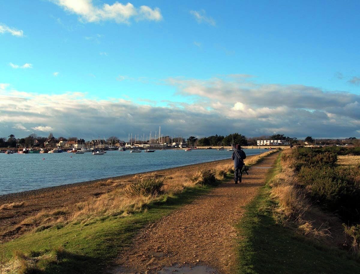 A coastal path with a person walking, boats in the water, and buildings in the background.