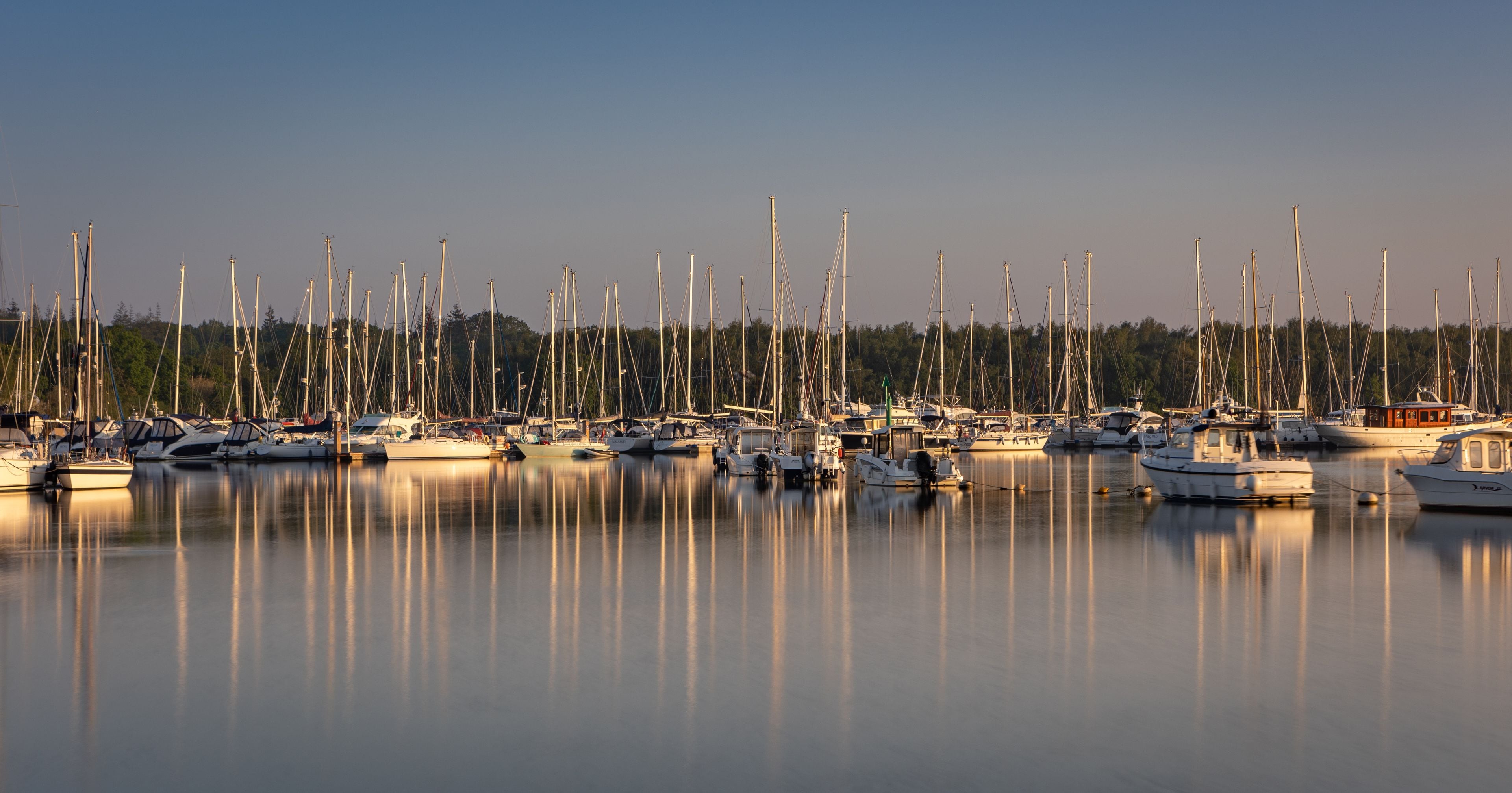 A marina with numerous sailboats docked, calm water reflecting the boats, and a forested background.