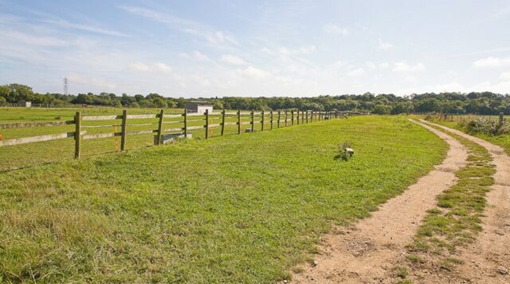 Private fields on Arnewood Common This area is named Arnewood Common on the 1:25,000 OS map. It seems, however, to be entirely private, or so a notice says.