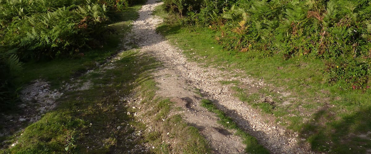 A gravel path through a lush green landscape with dense vegetation on either side.