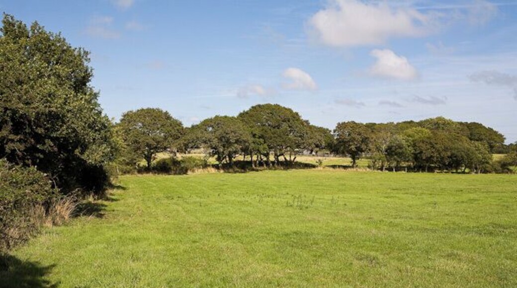 Footpath and fields beside railway line