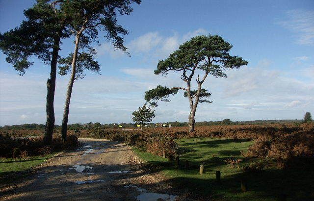 Junction of Norleywood Road and B3054, New Forest National Park, Hants.