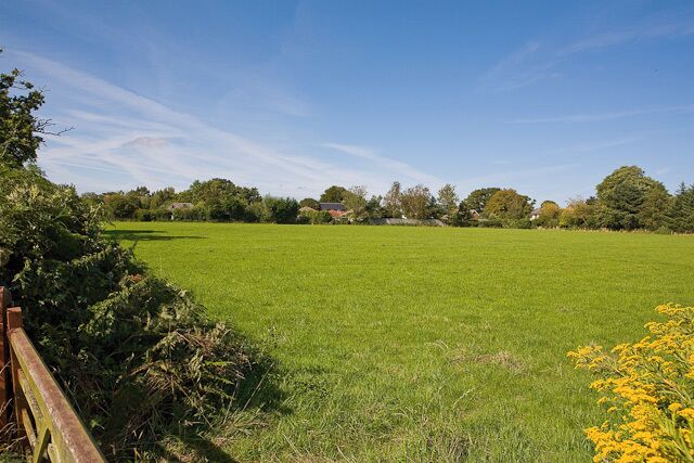 Field east of Wootton Road, Tiptoe In July 2009, Hordle Parish Council applied for planning permission to change the use of part of this 4.2 acre field from low intensity agriculture to a public amenity space to be named Tiptoe Green, following a fund raising campaign by local people who formed The Tiptoe Green Trust when the field was put up for sale for £110,000 in September 2008. In the end the southern (right) part of the field was bought by a resident for grazing, and the remainder bought by the Trust with finance from local donors and the Parish Council.