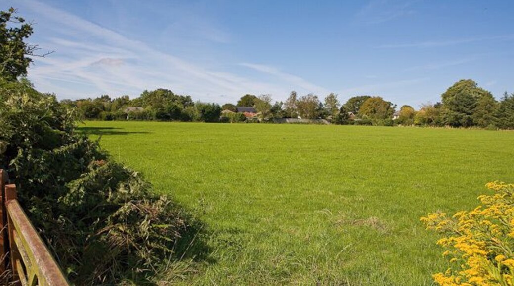 Field east of Wootton Road, Tiptoe In July 2009, Hordle Parish Council applied for planning permission to change the use of part of this 4.2 acre field from low intensity agriculture to a public amenity space to be named Tiptoe Green, following a fund raising campaign by local people who formed The Tiptoe Green Trust when the field was put up for sale for £110,000 in September 2008. In the end the southern (right) part of the field was bought by a resident for grazing, and the remainder bought by the Trust with finance from local donors and the Parish Council.