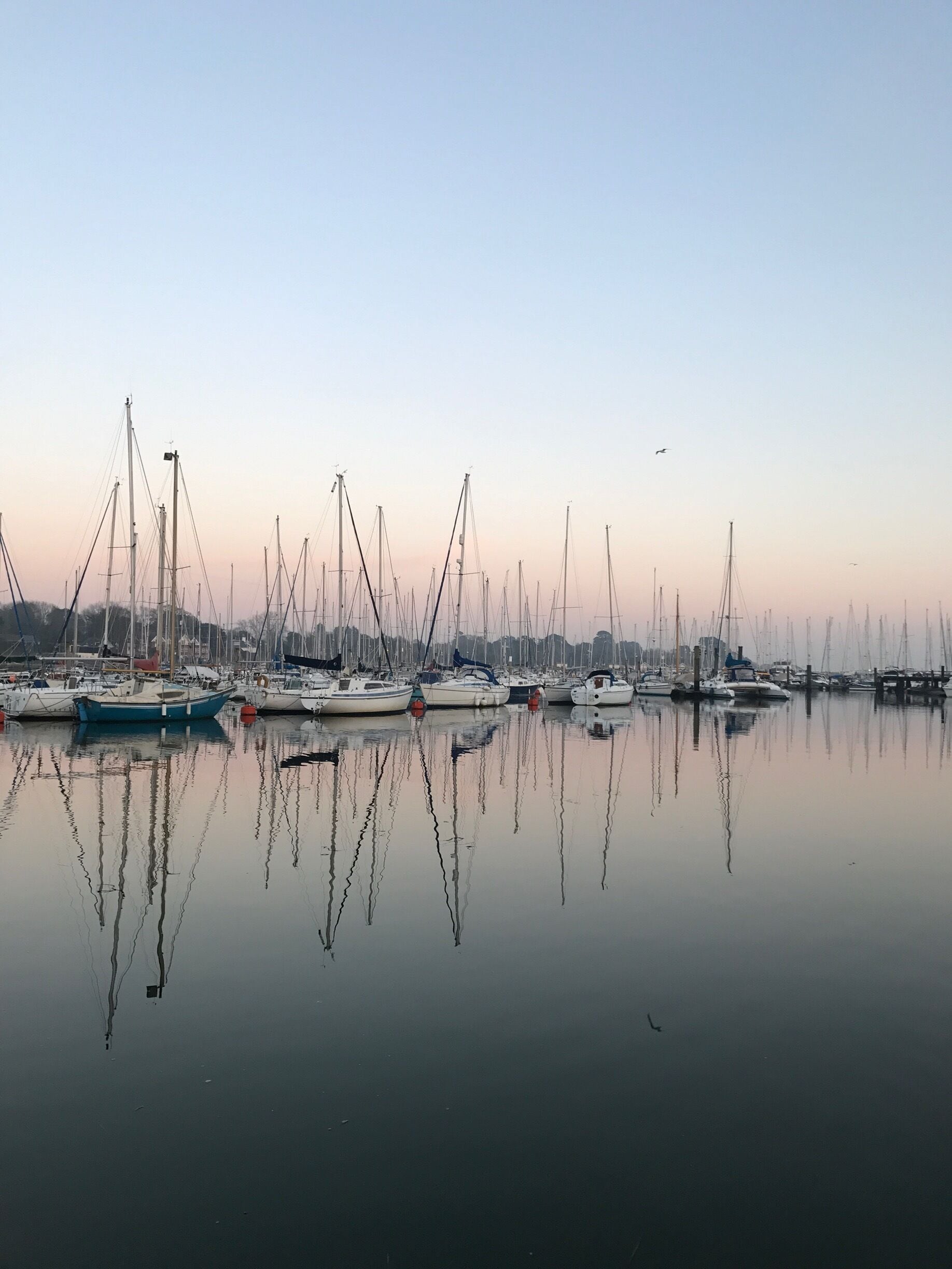 A really nice place to chill